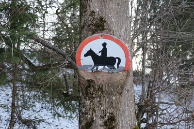 Road sign by trees in forest