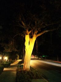 Light trails on street at night