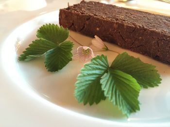 Close-up of chocolate bar on a plate with decoration