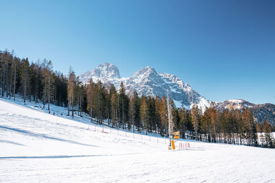 Scenic view of ski tracks against trees on snow covered majestic mountains