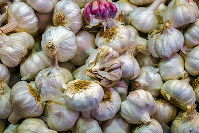 Fresh white garlic on market table