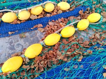 High angle view of fishing nets and buoy with dry maple leaves