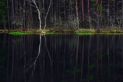Reflection of bare trees in lake at night
