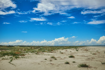 Scenic view of beach against blue sky