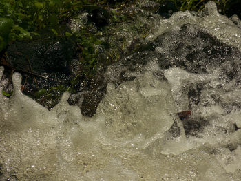 Close-up high angle view of water
