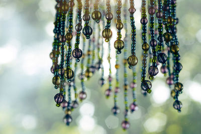 Close-up of berries on leaf