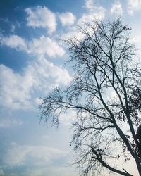 Low angle view of bare trees against cloudy sky