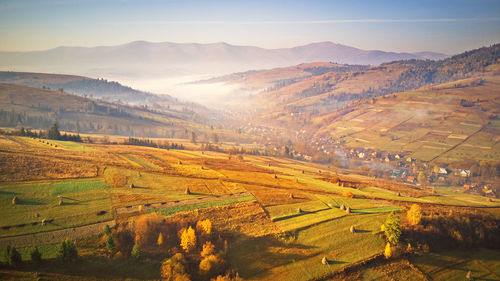 Scenic view of agricultural field against sky