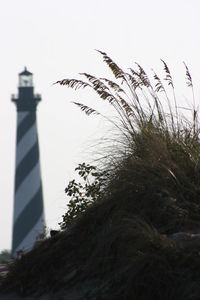 Close-up of grass by sea