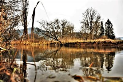 Reflection of trees in lake against sky