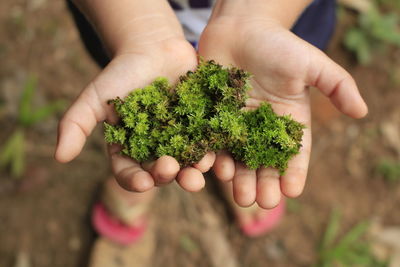 Low section of kid holding plant