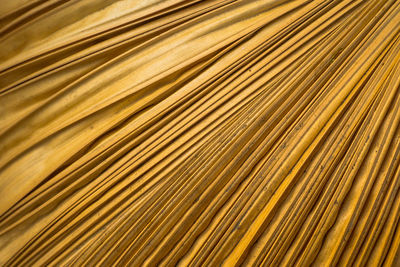 Full frame shot of palm leaf