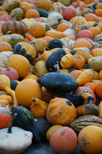 Pumpkins at market for sale