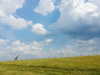 Scenic view of grassy field against cloudy sky