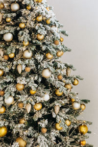 Close-up of christmas tree