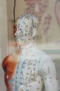 Close-up of mannequin with text in laboratory