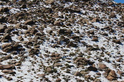 High angle view of pebbles on beach