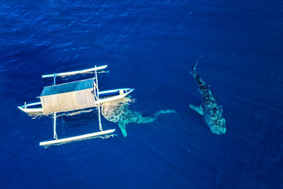 High angle view of swimming pool in sea