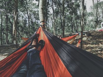 Low section of man on hammock in forest