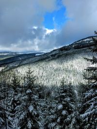 Scenic view of landscape against sky during winter