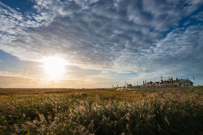 Scenic view of field against sky during sunset