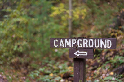 Close-up of information sign against trees in forest