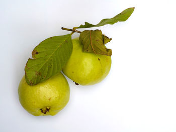 Close-up of green fruit against white background