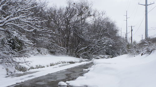 Bare trees on snow covered field