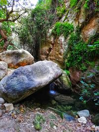 Water flowing through rocks in forest