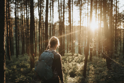 Lone woman hiking in forest