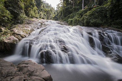 Scenic view of waterfall in forest