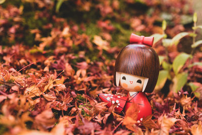 Close-up of autumn leaves on field