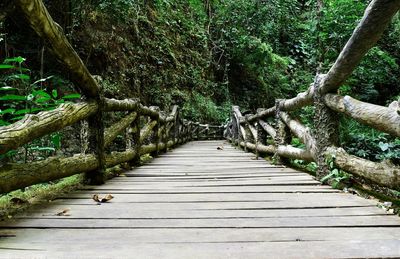 Footbridge amidst trees in forest