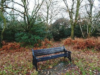 Abandoned bench in park