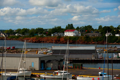 Sailboats moored at harbor against sky