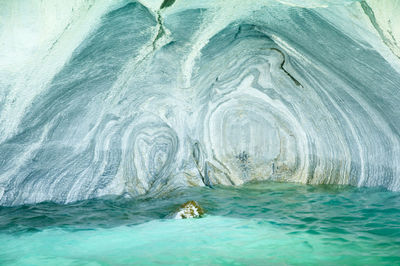 View of turtle in sea