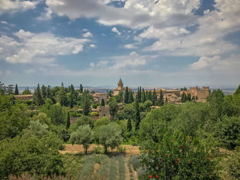 Panoramic view of trees on landscape against sky