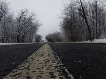 Road along bare trees in winter