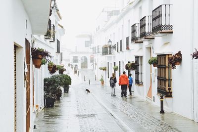 Rear view of people walking on street in city