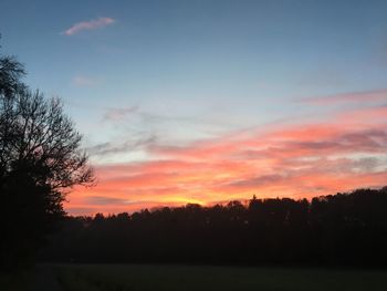 Silhouette trees against sky during sunset