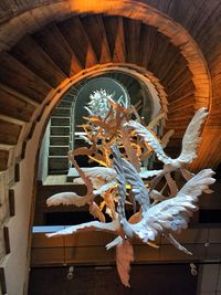 Low angle view of spiral staircase on building