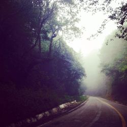 the way forward