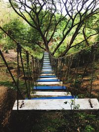 Steps amidst trees in forest