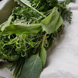 High angle view of vegetables