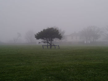 Trees on landscape against sky