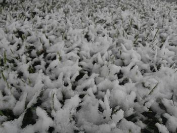 Full frame shot of snow