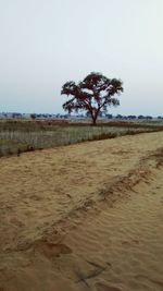 Trees on field against clear sky