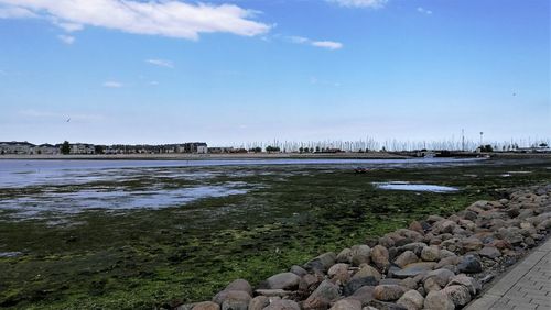 Scenic view of beach against sky