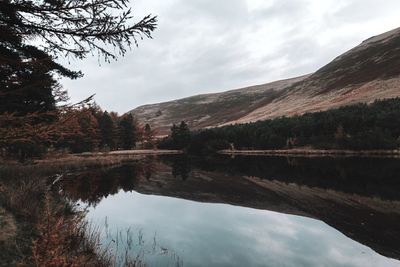 Scenic view of lake by trees against sky