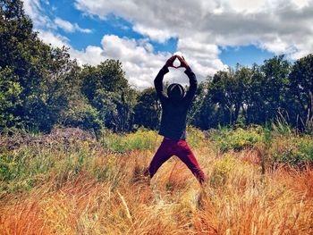 Trees against cloudy sky
